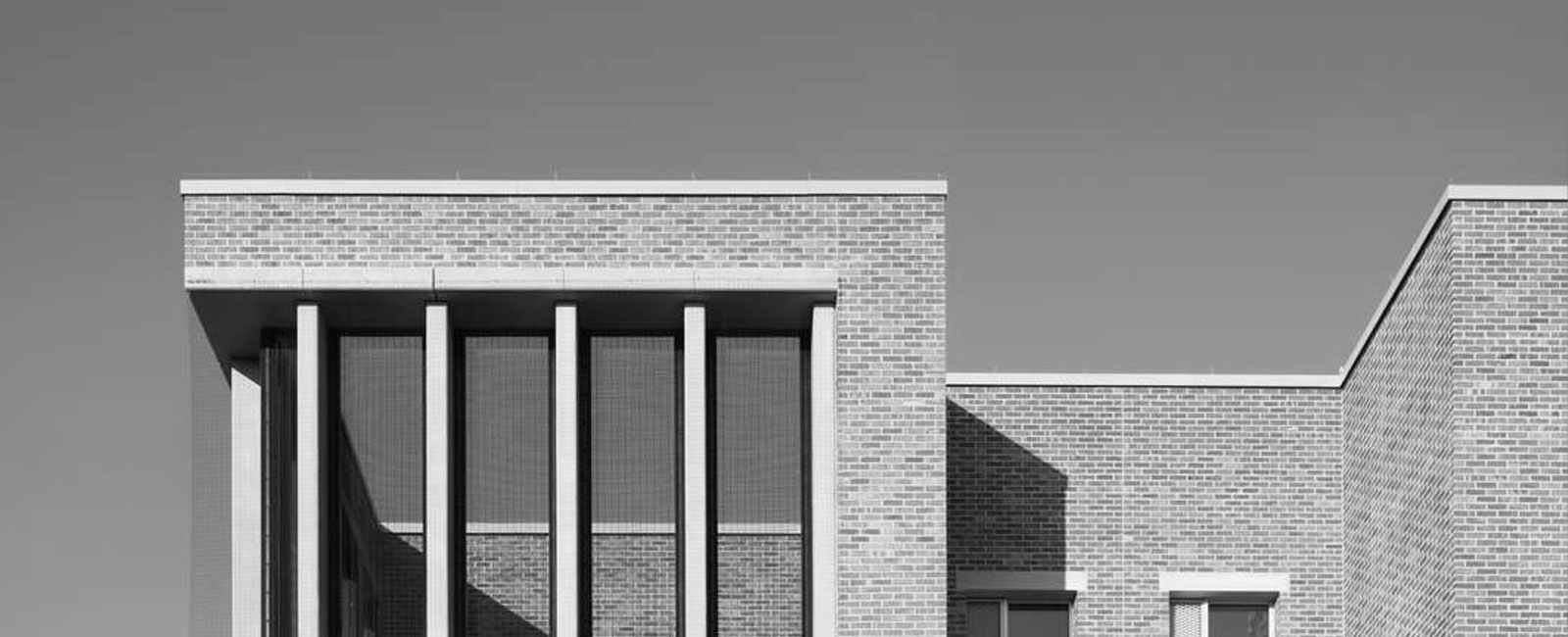 Roofing solutions tailored to the rigorous demands of modern construction - Envelis